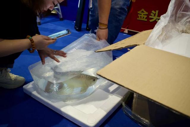 墙面画像鱼鳞片一样的是什么材料