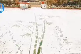 陕西一美术老师用扫帚在雪地上画雪竹 心中有画 扫帚也可“挥毫泼墨”！图片