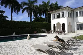 美国一豪宅挂牌出售 房主是条牧羊犬身价过亿 房子曾为麦当娜所有图片