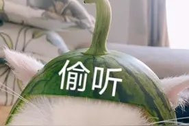 李佳琦出事了？抖音再现最大“照骗犯”！姜贞羽鹅厂亲闺女实锤…图片