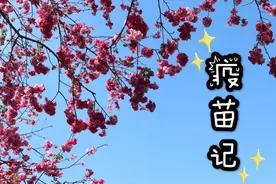 疫苗记～～图片