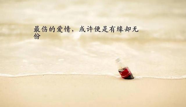 情感的美文