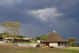 探秘建在非洲草原上的星级酒店 游客与野生动物共眠图片