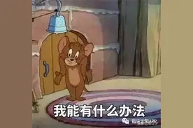 #文史知识局#十二生肖里，

凭啥老鼠排第一？?图片