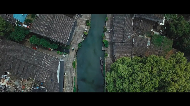 去年9分佳作频出，今年回归只剩6分，这一系列神作扑街了吗？