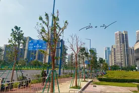 实拍佛山新城，高楼大厦密集，看起来非常气派，可惜却没什么人气图片