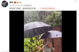 谢霆锋否认和王菲生女后近况曝光，下暴雨为蔬菜打伞，操碎了心图片