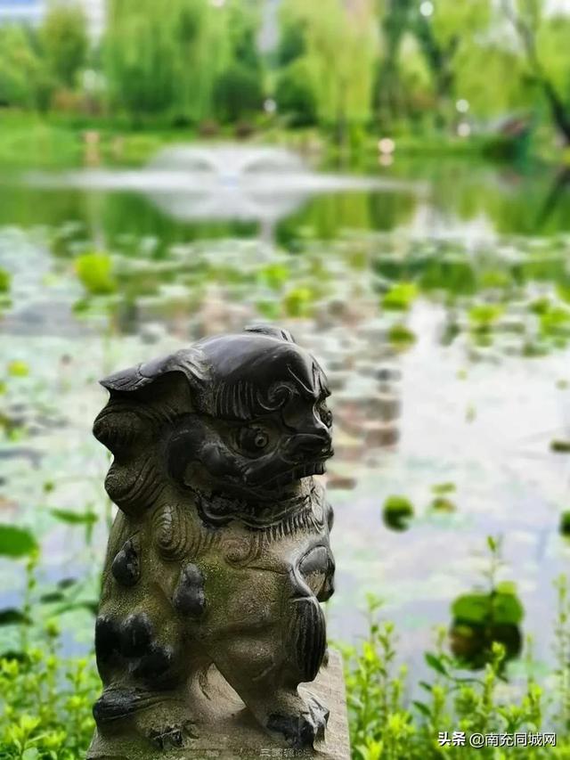 南充北湖公园的前世今生