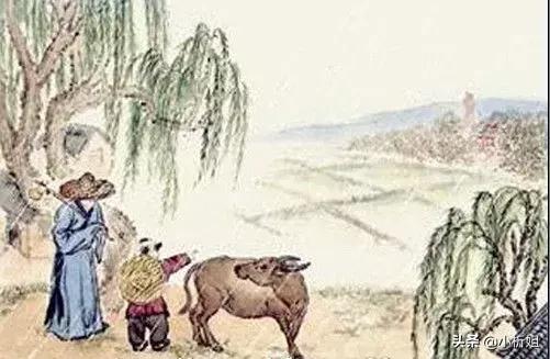 最古老的的化学——酿酒工艺