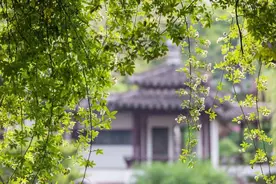 56岁单身女人坦言：余生不再为情所累，好好地做个身心安静的老人图片