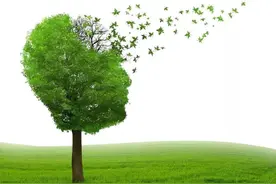 用错牙刷！记不住琴谱！自我感觉记忆力下降需要就诊吗？图片