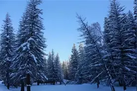 可可托海的冬韵图片