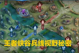 王者峡谷的视野并不共享？利用这个小知识，初期抢二级非常实用图片