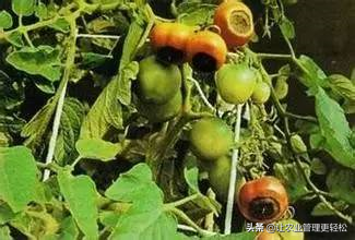 鐣寗缂洪挋鍙戠敓鑴愯厫鐥咃紝缂洪晛鑰佸彾鍙橀粍鍖栵紝闃茶寖鎻愬墠锛岄伩鍏嶅嵄瀹炽€? onerror=