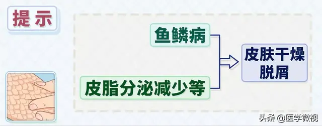 皮肤起皮屑像鱼鳞图片