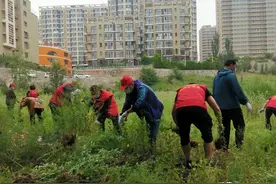 张家口桥西赐儿山社区：秋风吹蒿草 党群齐出招图片