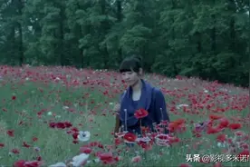 《失恋33天》：余生不长，烦恼很多。对你刻薄，就是最大的善良图片