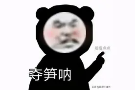 伤害性不强，侮辱性极大：“夺笋呐”用英语怎么说？图片