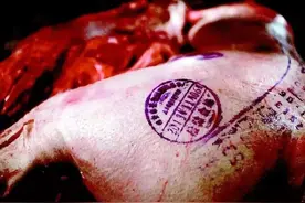 你吃的猪肉安全吗？猪身上的印章代表什么？四招教你挑选新鲜肉！图片