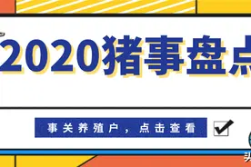 养猪人必读：独家盘点2020猪业十件大事！将影响2021年图片