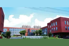 安巢的转型跨越｜“腾笼换鸟”逼出土地“含金量”，奋力开启高质量发展新局面图片