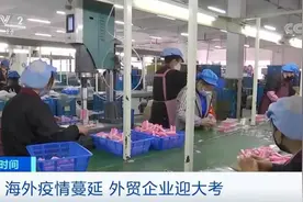 疫情之下门店关门、外贸订单减少？这家企业尝试一下收入30万元图片