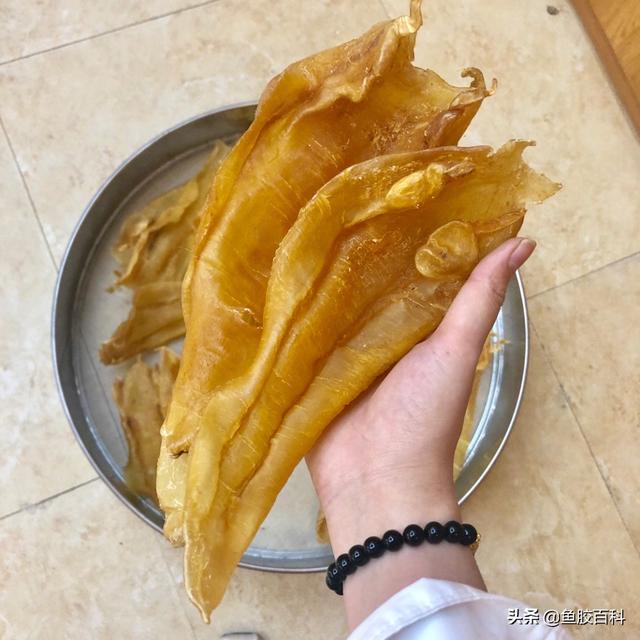 公花胶的功效是什么 2026年花胶公和花胶有什么区别 公花胶的功效是什么 2026年花胶公和花胶有什么区别