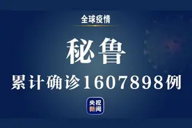 秘鲁新增新冠肺炎确诊病例9305例 累计确诊1607898例图片