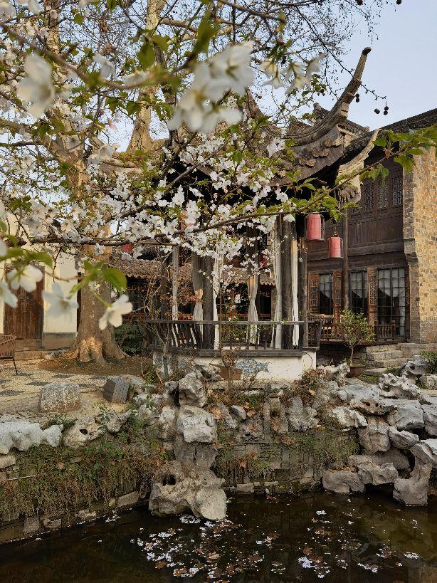 怎么蒸花胶红烧肉 2026年怎么蒸花胶红烧肉窍门