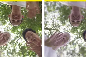 动物的眼中看见的世界是怎样的？这里有6种动物的视角模拟效果图片