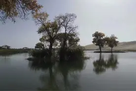 罗布人村寨：仅存二十余户，他们插芦为屋，逐水而居，捕鱼为生图片