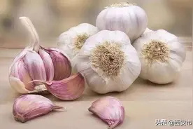 #健康科普汇#【大蒜吃生不吃熟 吃碎不吃整】图片