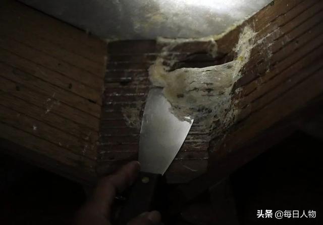 吃燕窝的好处与功效视频 2026年吃燕窝的好处与功效视频教程