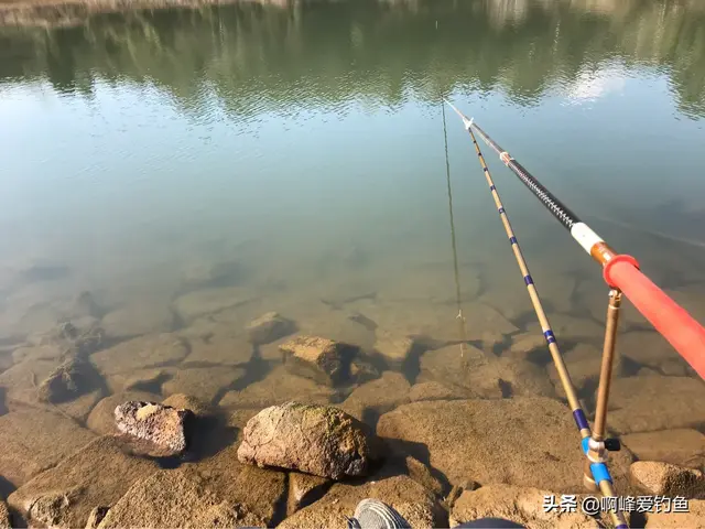 翘嘴鱼怎么去鱼鳞