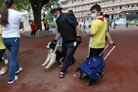 汪星人“大闹”校园，被保安叔叔单手制服图片