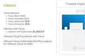 原生安全水土不服 Tanzu才是VMware中国未来图片
