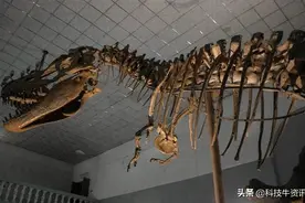 人类将在什么时候灭绝？图片