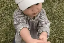 表情包：快点还我钱图片