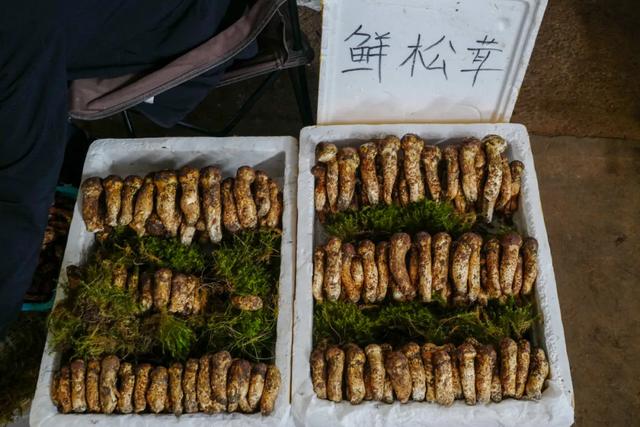 吃蘑菇起鸡皮疙瘩 吃蘑菇起鸡皮疙瘩