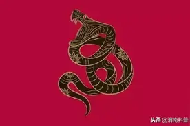 属蛇聪明，属猴精明……十二生肖智商排行榜！图片