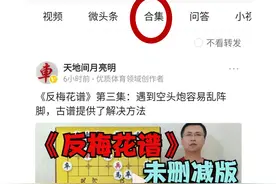 巴吉人与《反梅花谱》，奇人、奇书，核心精髓是急进中兵和龟背炮图片