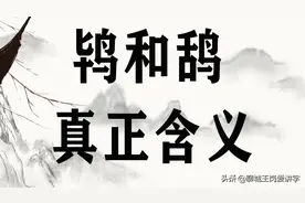 文化课堂：汉字“鸨”和“鸹”的讲解，为什么乌鸦的羽毛是黑色？图片