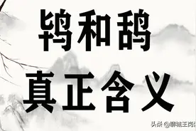 文化课堂：汉字“鸨”和“鸹”的讲解，为什么乌鸦的羽毛是黑色？图片