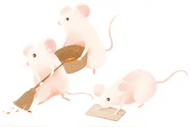 校园老鼠往事图片