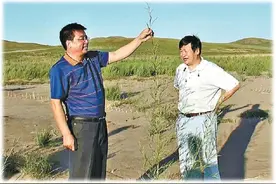 11年，他让3000亩沙地变绿洲图片