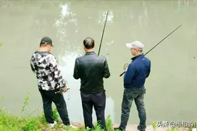 23个场景比照，让你了解下浙北和苏北乡村的真实差异图片