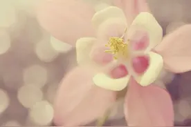 女人想你到极致了，往往会这样暗示你图片