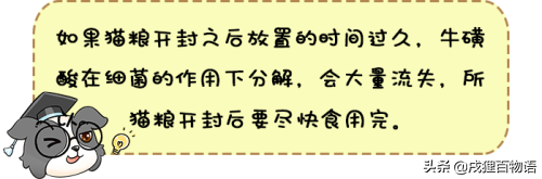 牛磺酸是什么？猫咪需要补充牛磺酸吗？