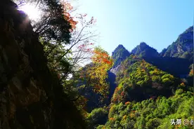 秦岭红叶美不胜收，车多人多的山路，到底走哪条道路最值得期待？图片