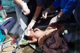 大马少女未婚先孕在家生娃，将其装塑料袋扔出4楼，宝宝奇迹幸存图片